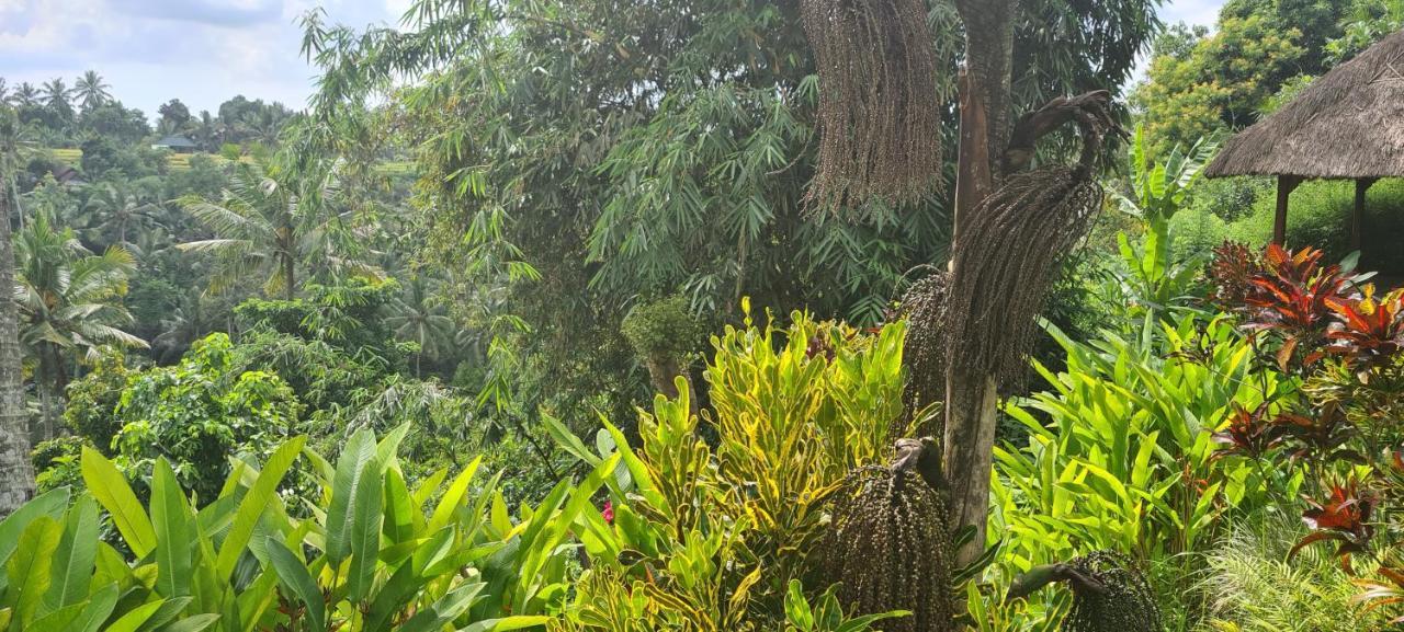 Rumah Sungai Villa Ubud  Luaran gambar