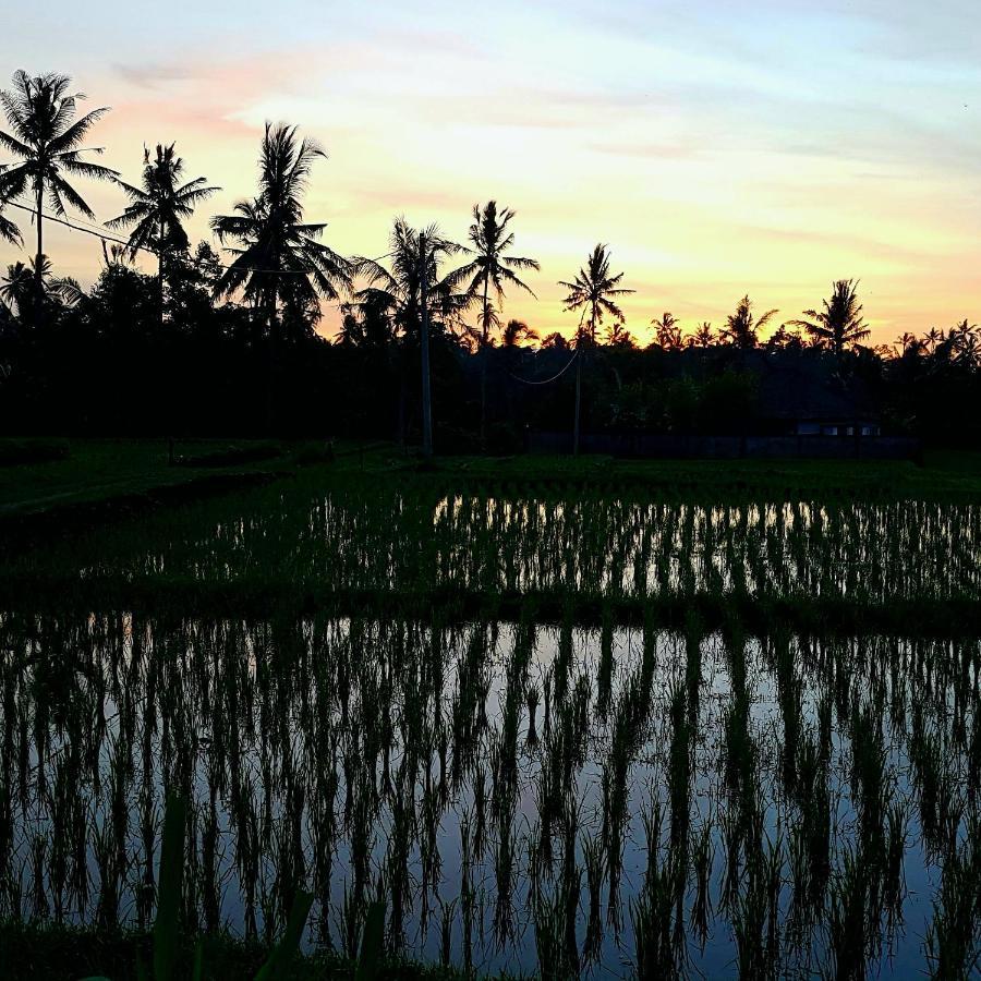 Rumah Sungai Villa Ubud  Luaran gambar