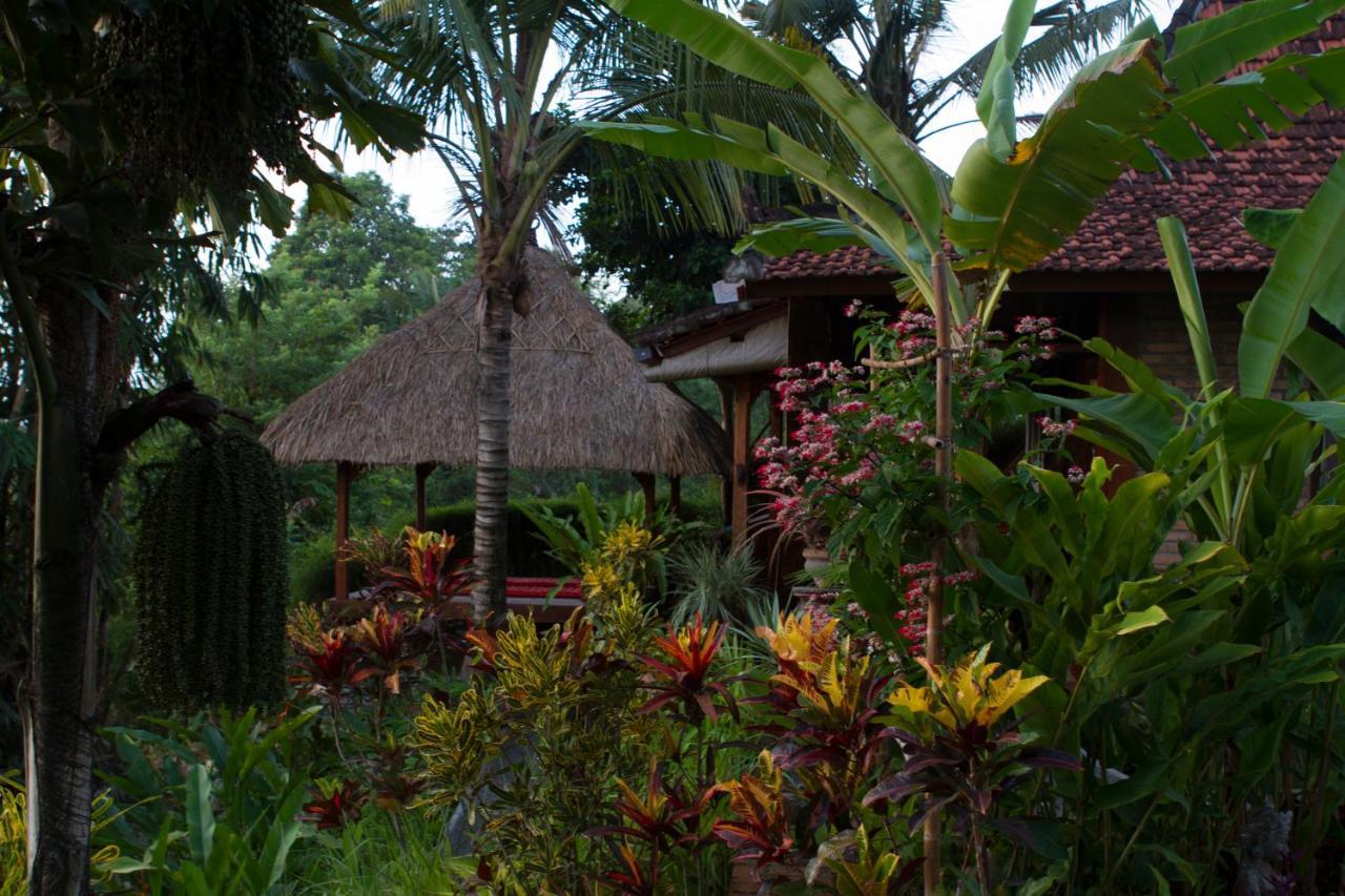 Rumah Sungai Villa Ubud  Luaran gambar