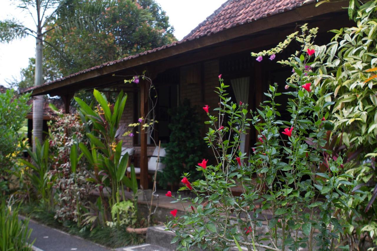 Rumah Sungai Villa Ubud  Luaran gambar