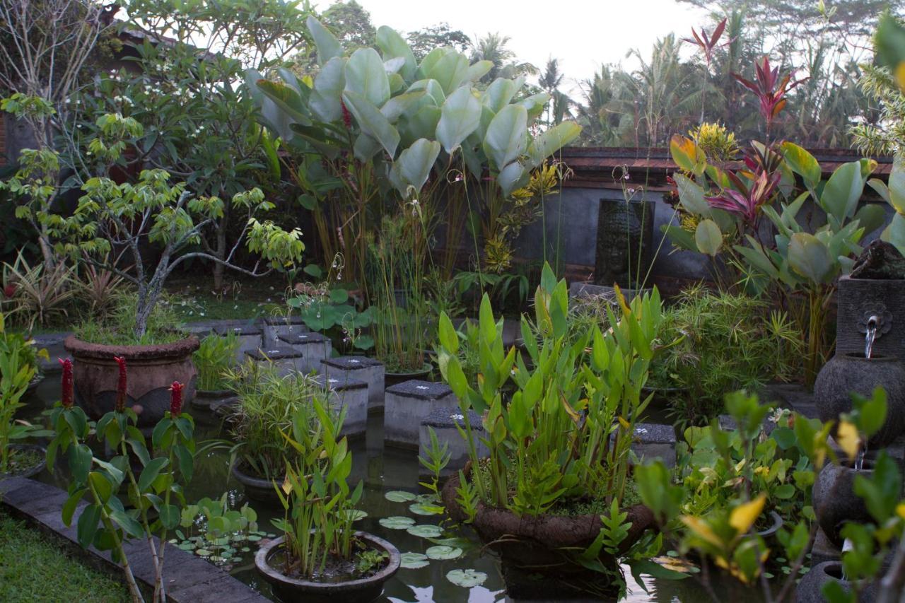Rumah Sungai Villa Ubud  Luaran gambar