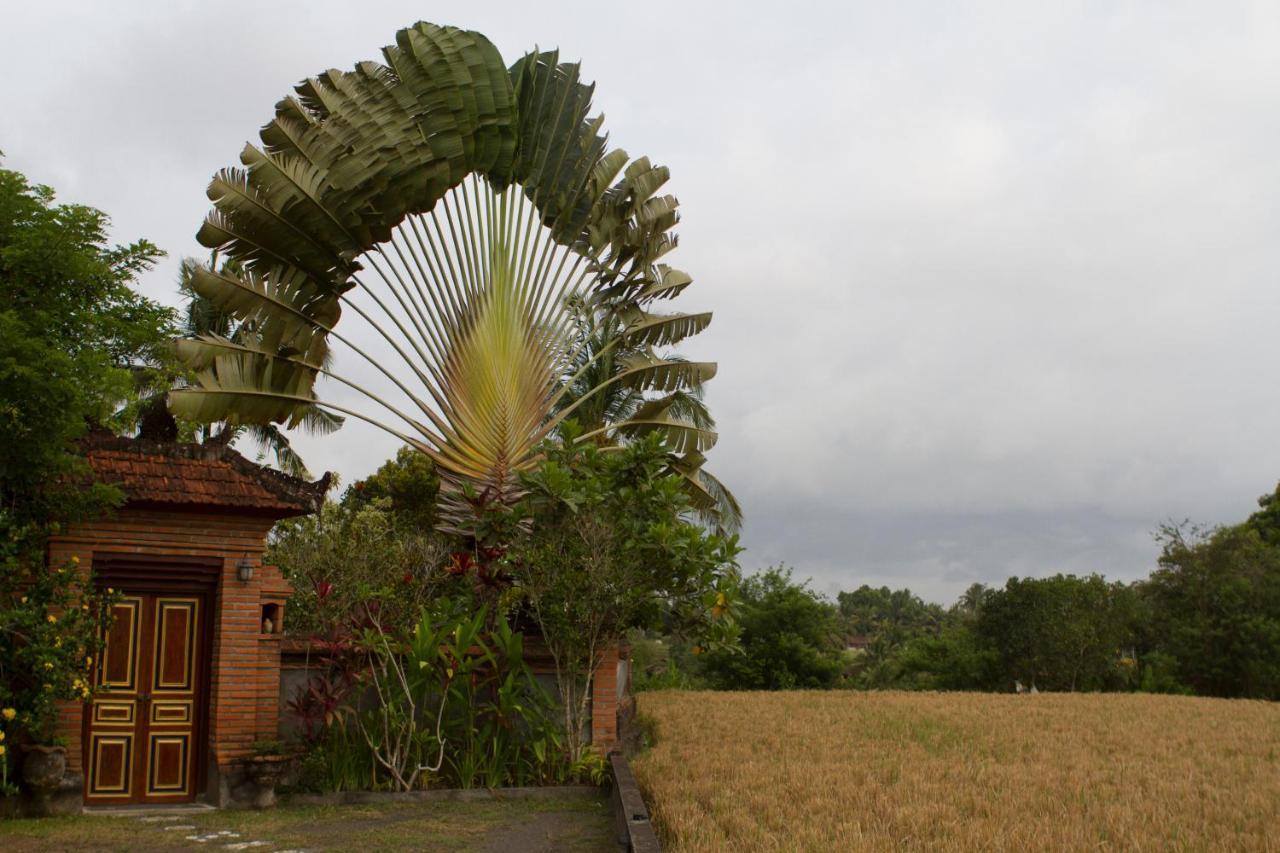 Rumah Sungai Villa Ubud  Luaran gambar