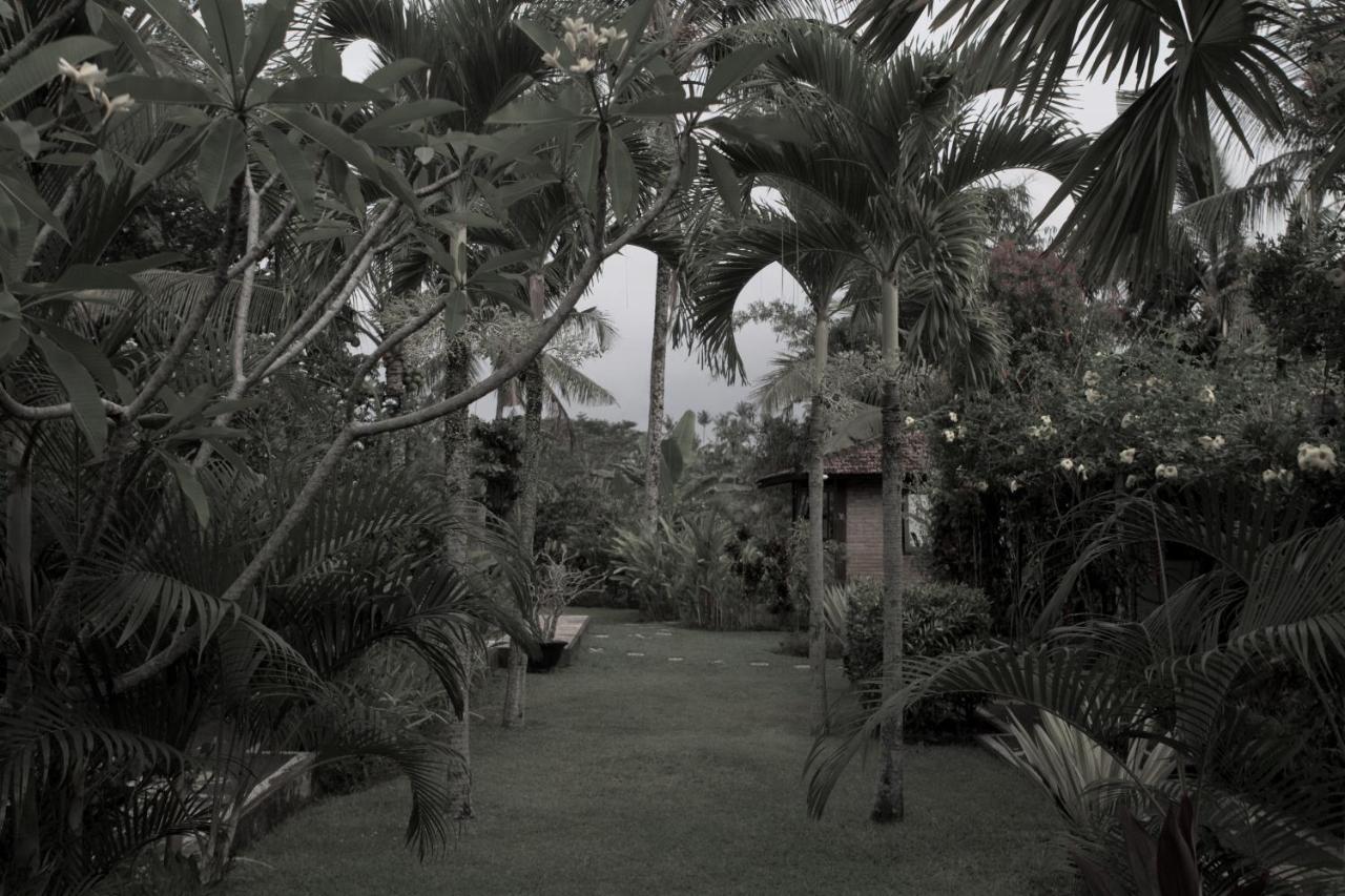 Rumah Sungai Villa Ubud  Luaran gambar