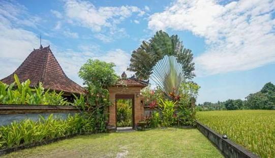 Rumah Sungai Villa Ubud  Luaran gambar