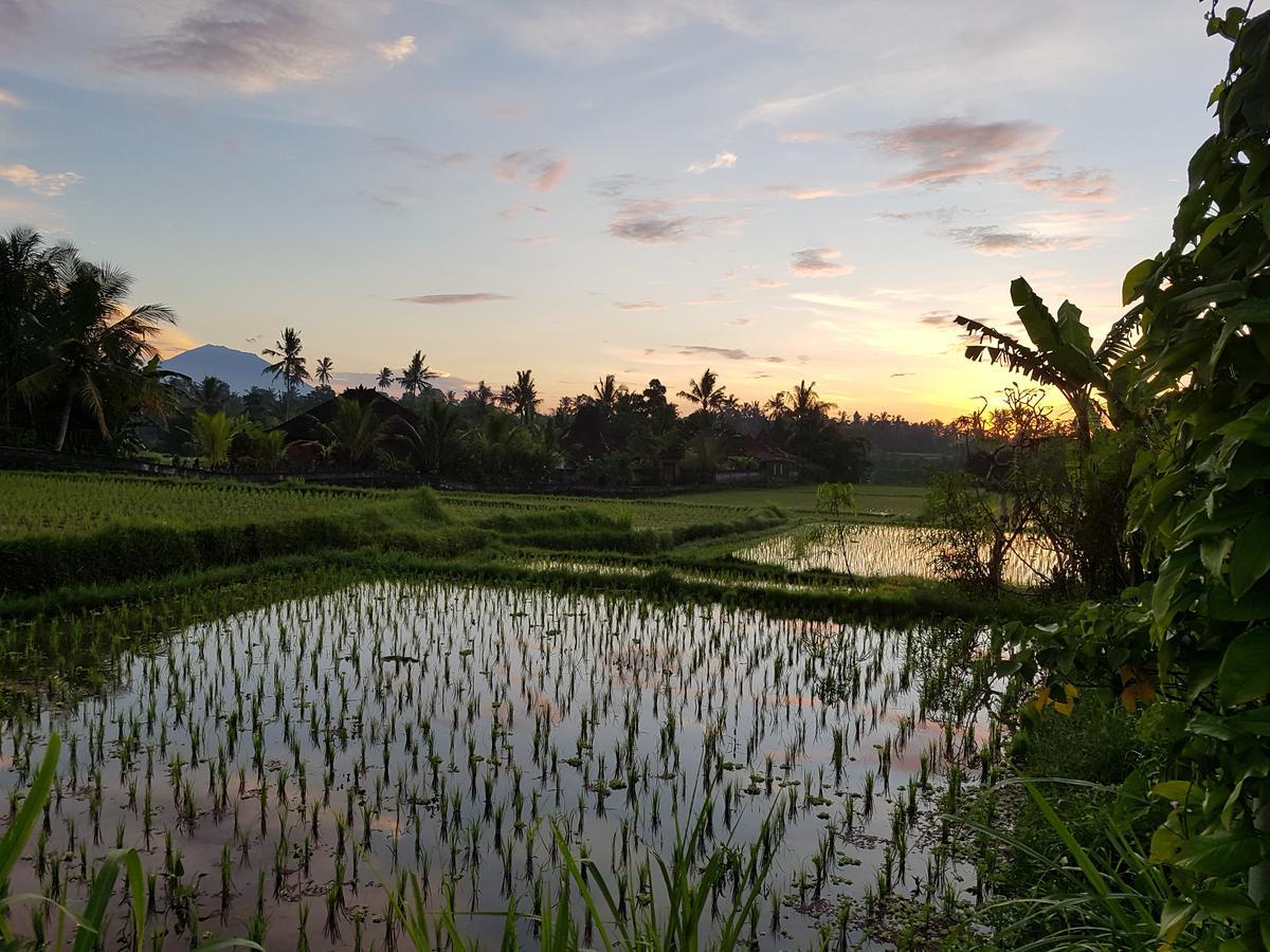 Rumah Sungai Villa Ubud  Luaran gambar