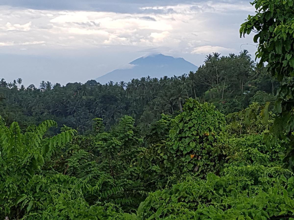 Rumah Sungai Villa Ubud  Luaran gambar