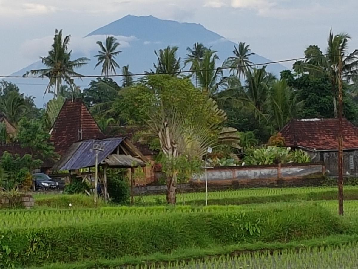 Rumah Sungai Villa Ubud  Luaran gambar