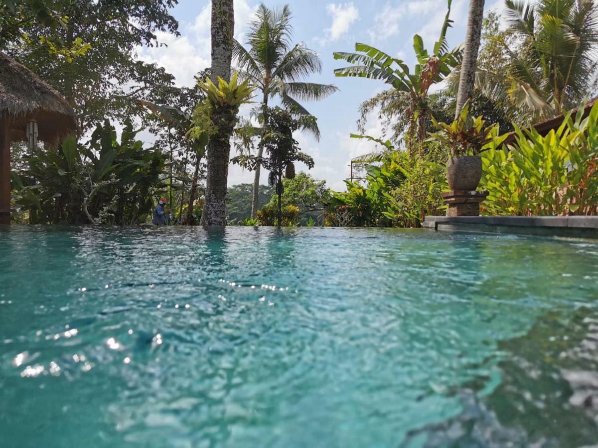 Rumah Sungai Villa Ubud  Luaran gambar